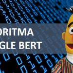 cara menghadapi update google bert 2019